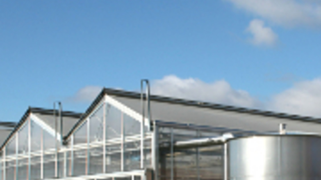Gewächshaus der Zukunft in Schifferstadt Gewächshaus der Zukunft in Schifferstadt