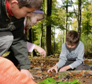 Umweltbildung mit Kindern im Wald