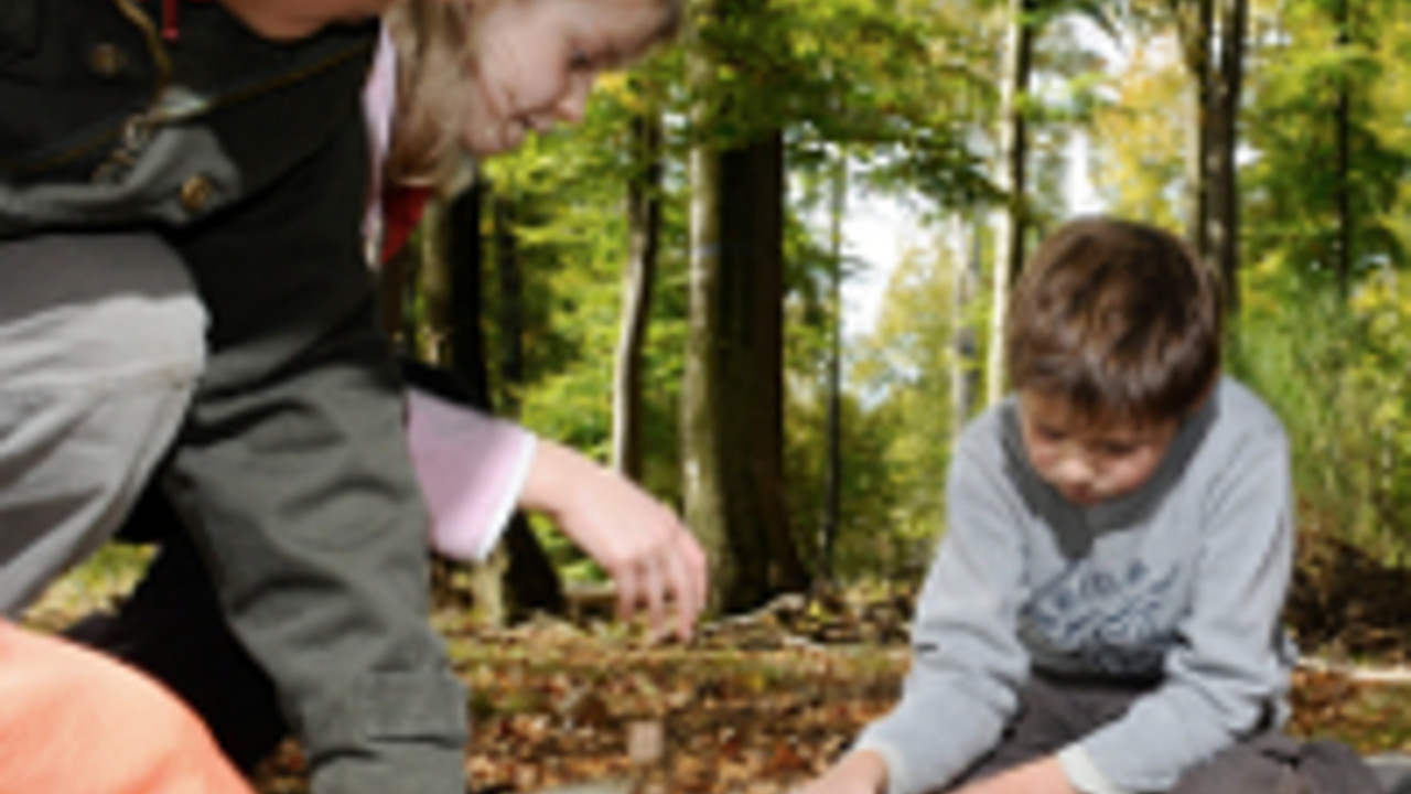 Umweltbildung mit Kindern im Wald