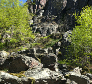 Mannfels bei Otzenhausen, Foto: Landesforsten RLP/Konrad Funk