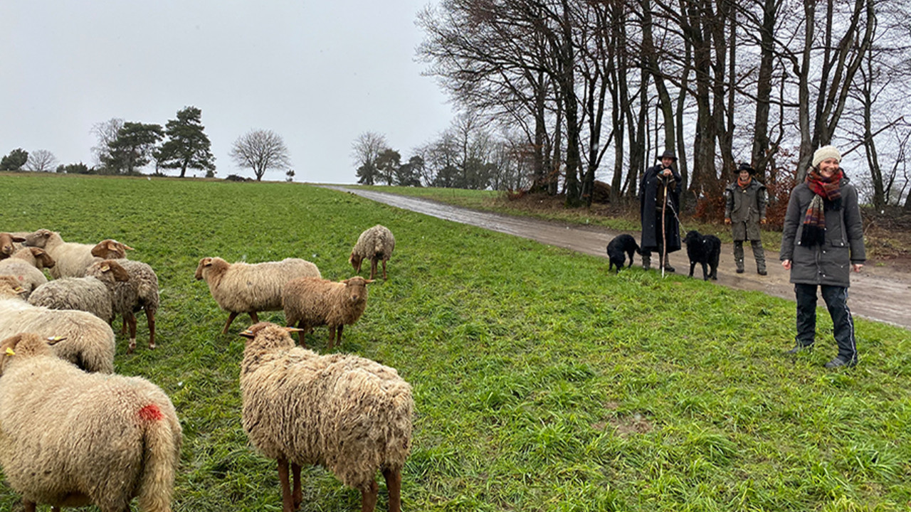 Staatsministerin Anne Spiegel besucht Wanderschäfer.