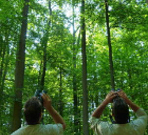 Forstleute bei der Waldzustandserhebung