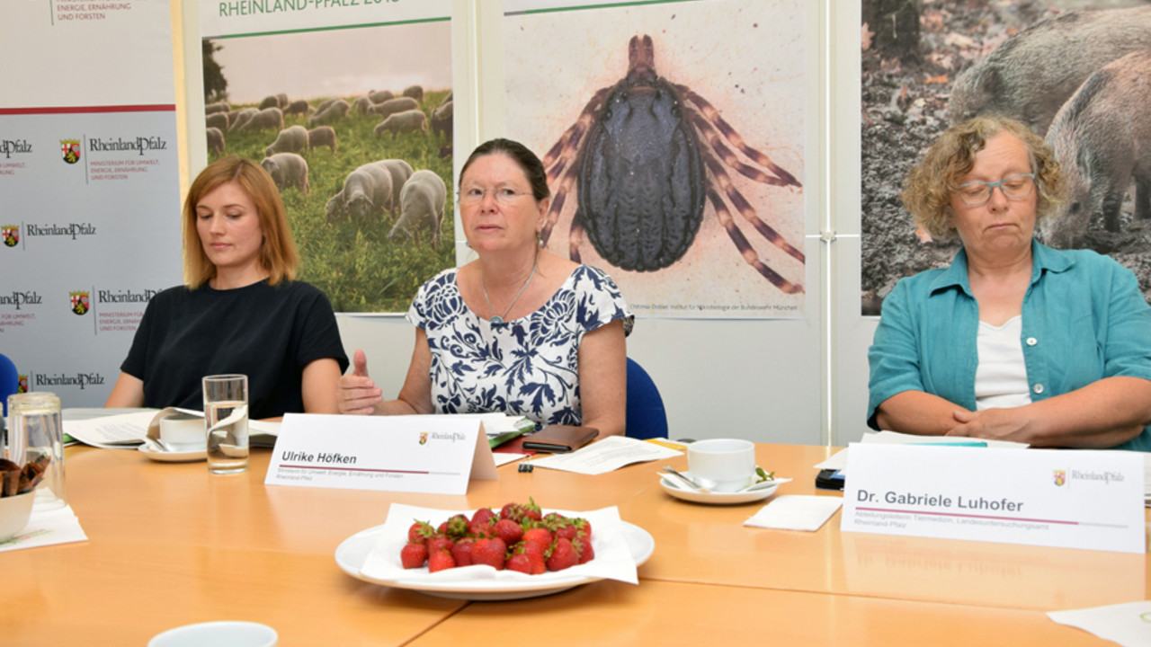 Pressekonferenz zur Tierseuchenbilanz 2018 mit Umweltministerin Ulrike Höfken