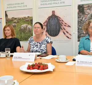 Pressekonferenz zur Tierseuchenbilanz 2018 mit Umweltministerin Ulrike Höfken