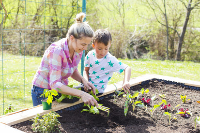 Frau mit Kind pflanzen Gemüse an.