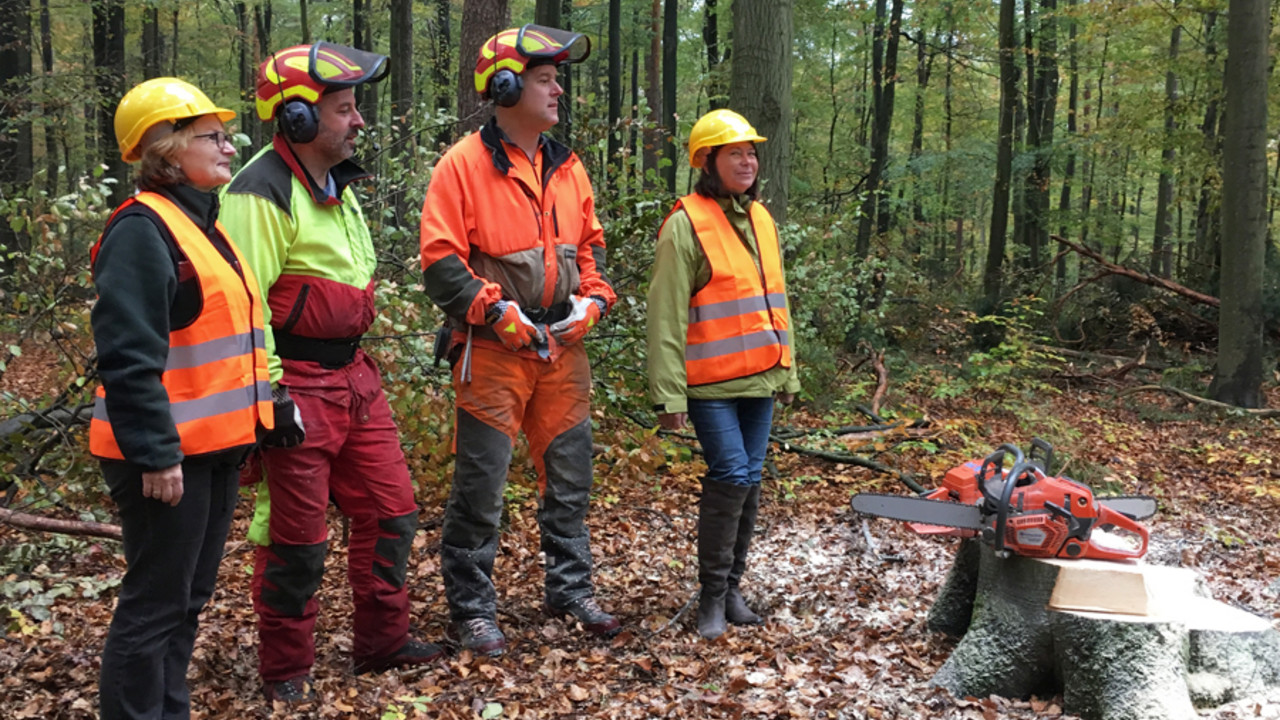 Umweltministerin Ulrike Höfken eröffnet am Forstamt Kaiserslautern die Laubholzeinschlagsaison