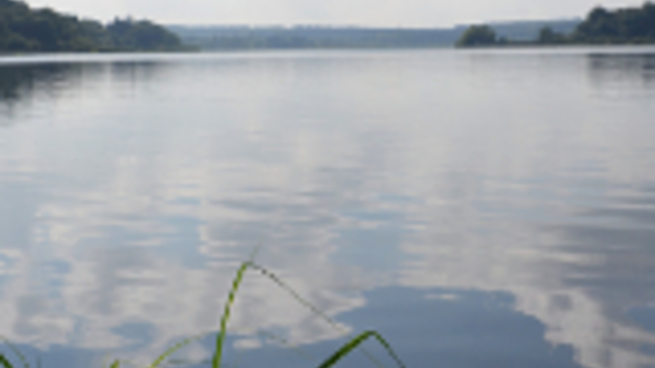 Dreifelder Weiher