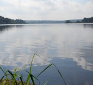 Dreifelder Weiher