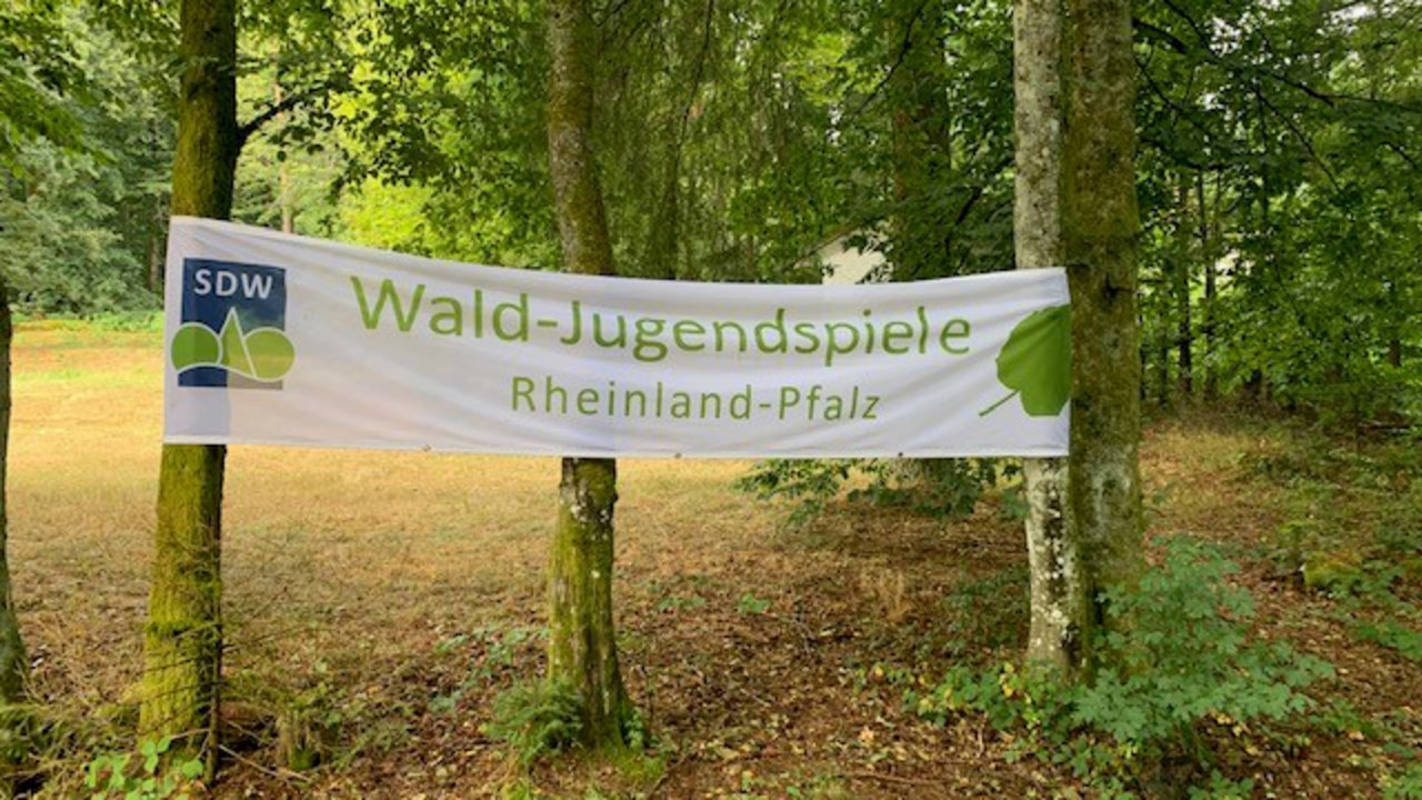 Banner Wald-Jugendspiele Rheinland-Pfalz