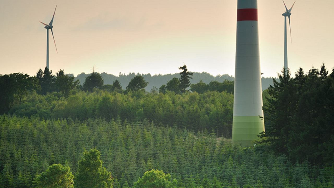 Windenergieanlagen im Wald