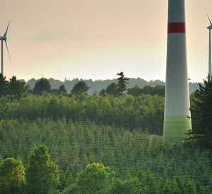 Windenergieanlagen im Wald