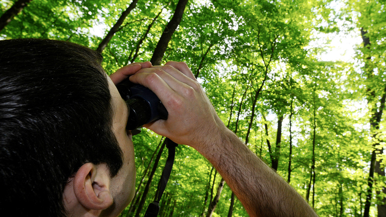 Forscher mit Fernglas im Laubwald