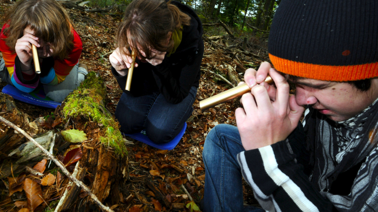 Schüler erforschen den Wald