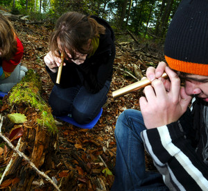 Schüler erforschen den Wald